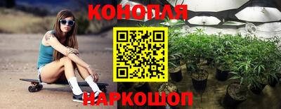 гидра Заволжье