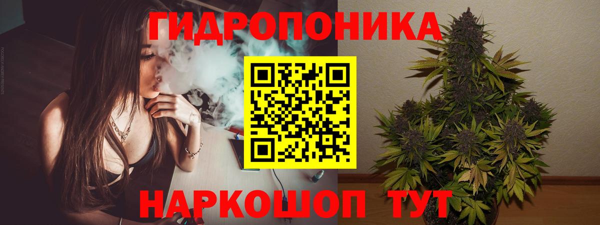 Бошки Шишки конопля  Вход с VPN  Конопля марихуана  Шелехов  Бошки Шишки SATIVA & INDICA  Канабис Bruce Banner 